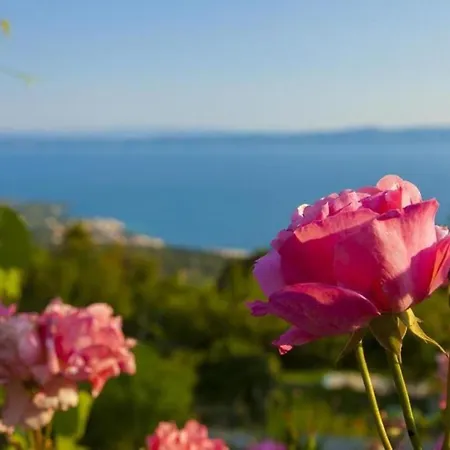 Hébergement de vacances Nona Makarska
