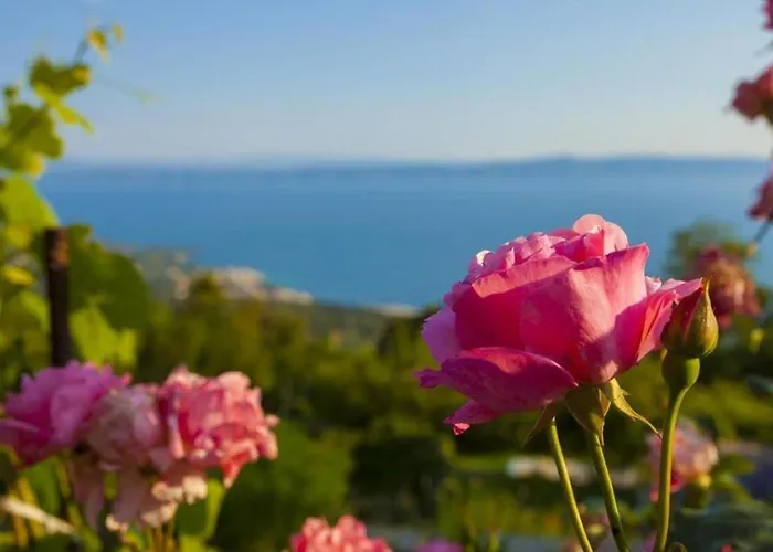 Holiday home Nona Makarska